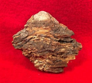 Lead Projectile In Wood