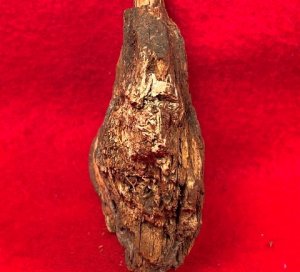 Lead Projectile In Wood