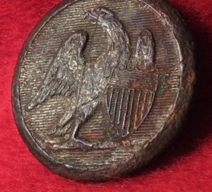 Pre-Civil War Militia Button 