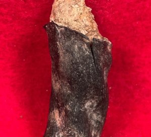 Smith Rubber Case Cartridge - Excavated