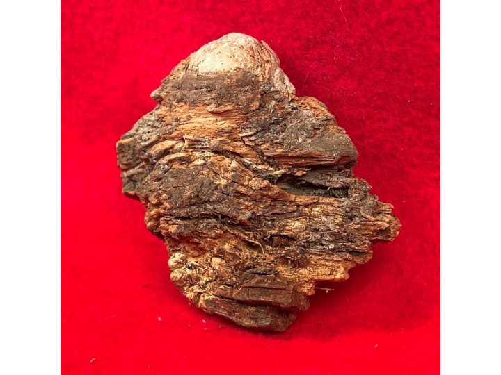 Lead Projectile In Wood