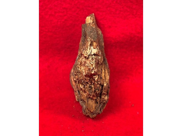 Lead Projectile In Wood