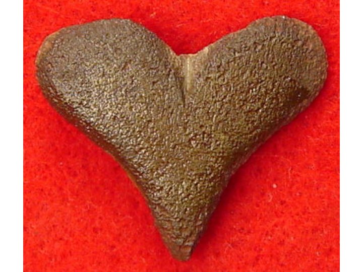 Heart Shaped Badge or Emblem